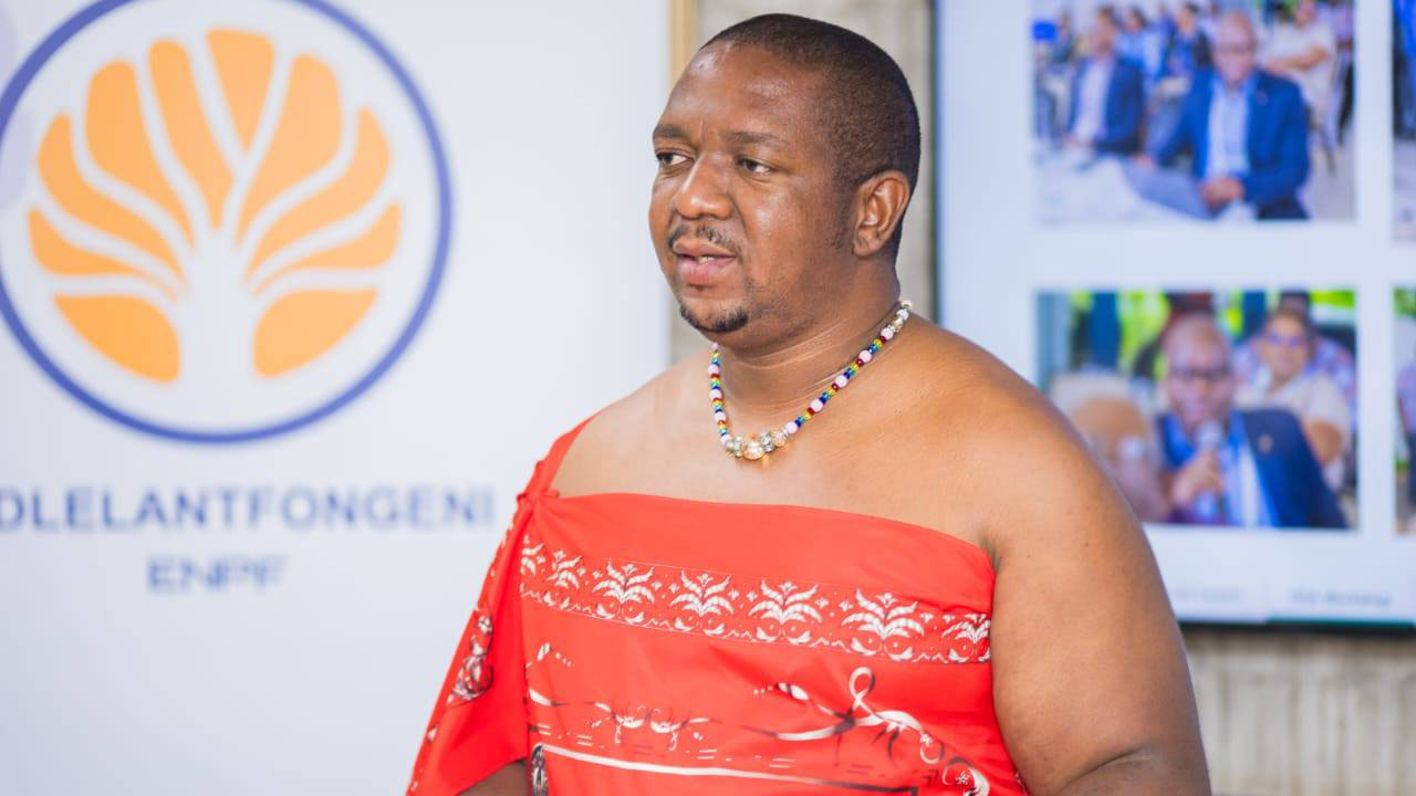 Minister for Labour and Social Security Phila Buthelezi. (Courtesy pic)